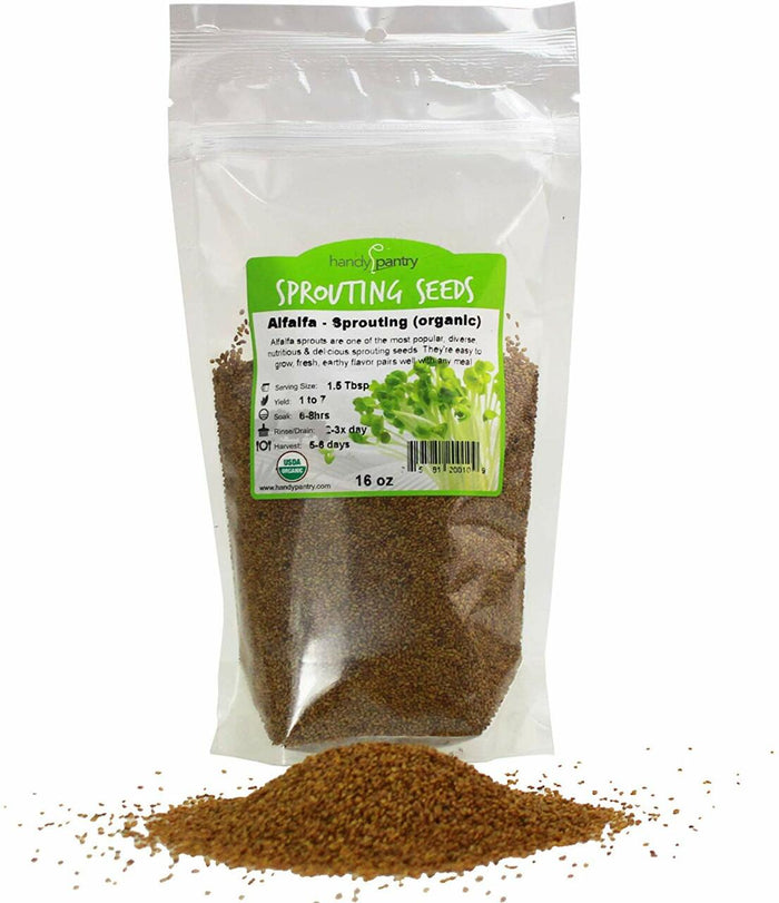 Alfalfa Sprouts