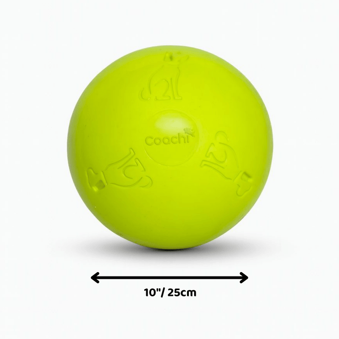 Electric Lime - 25cm