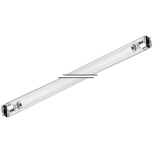 15W Phillips Lamps